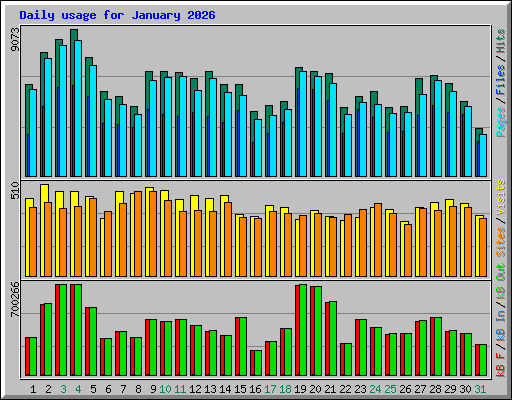 Daily usage for January 2026