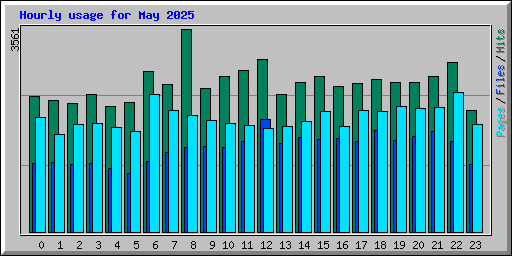 Hourly usage for May 2025