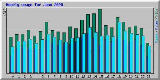 Hourly usage for June 2025