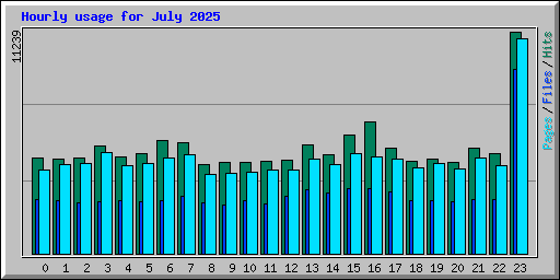 Hourly usage for July 2025