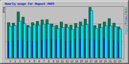 Hourly usage for August 2025