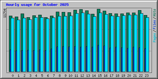 Hourly usage for October 2025