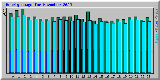 Hourly usage for November 2025