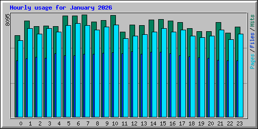 Hourly usage for January 2026